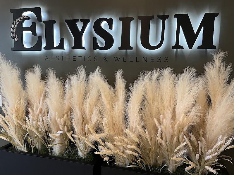 Elysium Aesthetics & Wellness, spa in Easton, PA, photo 4 of 10